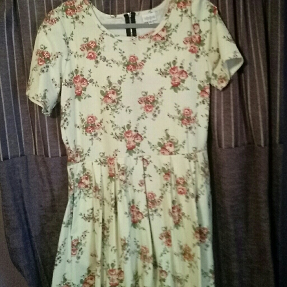 Lularoe Amelia Dress